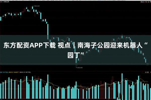 东方配资APP下载 视点|南海子公园迎来机器人“园丁”