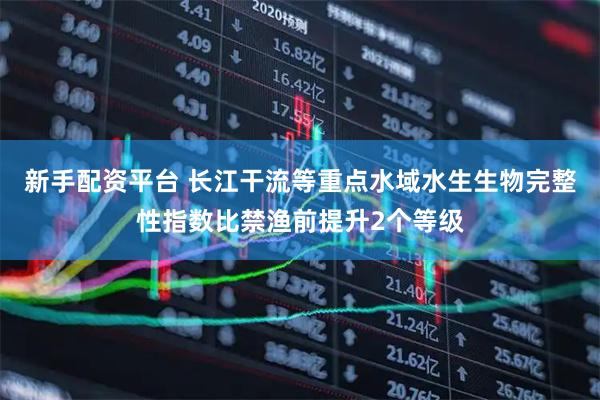 新手配资平台 长江干流等重点水域水生生物完整性指数比禁渔前提升2个等级